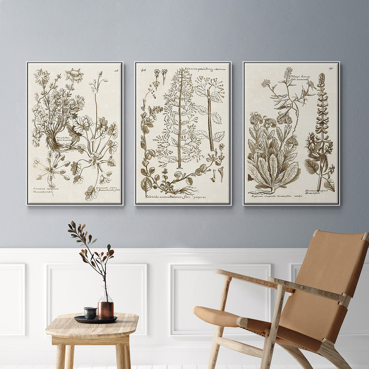 Sepia Botanical Journal IV - Framed Premium Gallery Wrapped Canvas L Frame 3 Piece Set - Ready to Hang