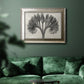 Vintage botanical plant study photograph by Karl Blossfeldt in an ornate mottled silver frame displayed in a dark-toned interior setting.
