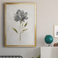 Botanical Beauty II - Modern Framed Canvas Print