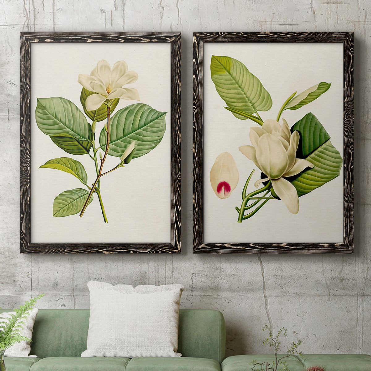 Set of two black barnwood framed canvas prints depicting a coordinated art pair of white magnolia blossoms and glossy green leaves rendered as traditional botanical paintings above a sofa in a modern living room.