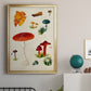 Mushroom Species VIII - Modern Framed Canvas Print