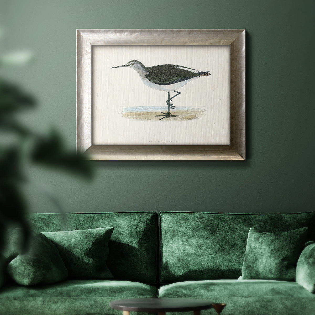 Morris Sandpipers VI Premium Framed Canvas- Ready to Hang