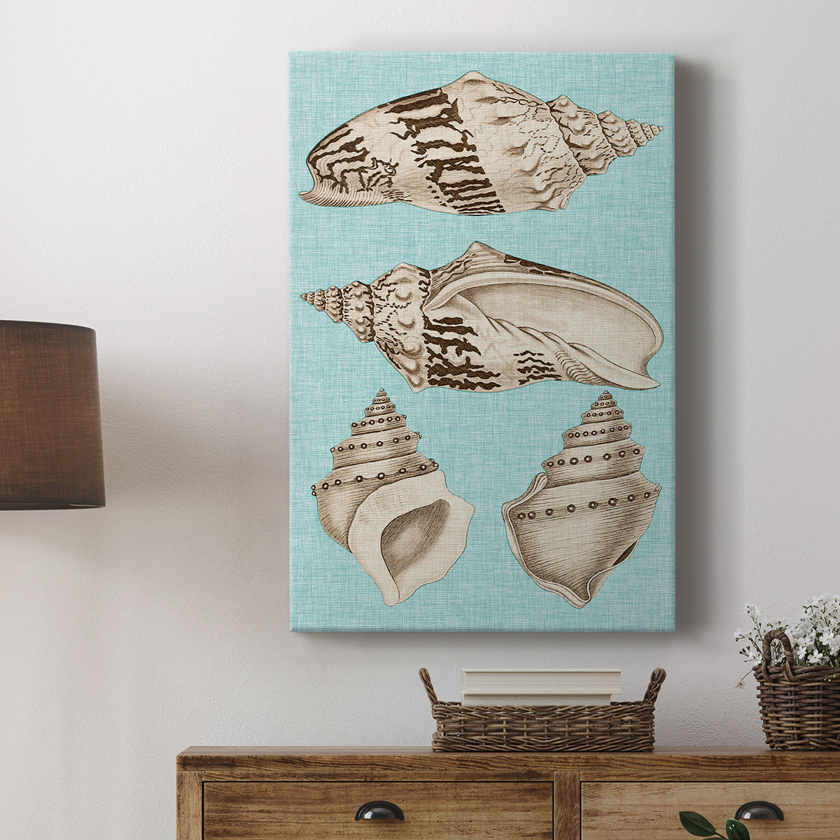 Sepia & Aqua Shells IV - Canvas Art Print