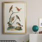 Antique Birds in Nature IV - Modern Framed Canvas Print