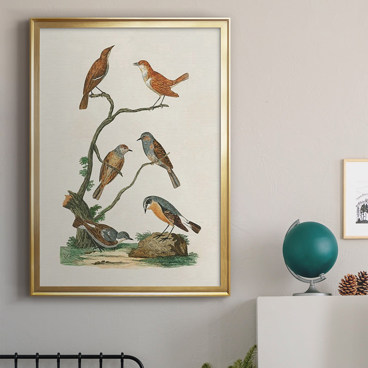 Antique Birds in Nature IV - Modern Framed Canvas Print