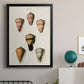 Cone Shell Collection IV - Modern Framed Canvas Print