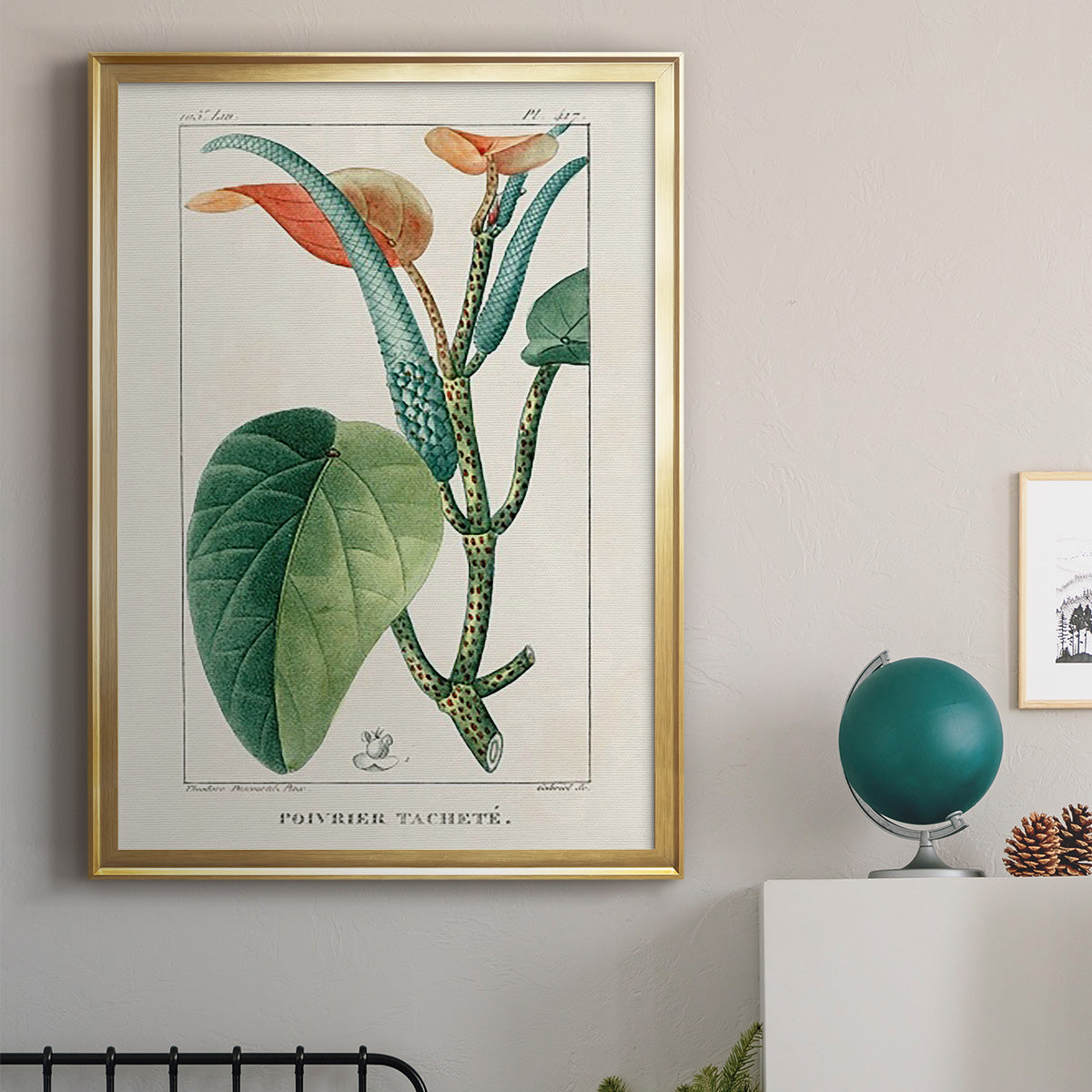 Turpin Tropical Botanicals II - Modern Framed Canvas Print