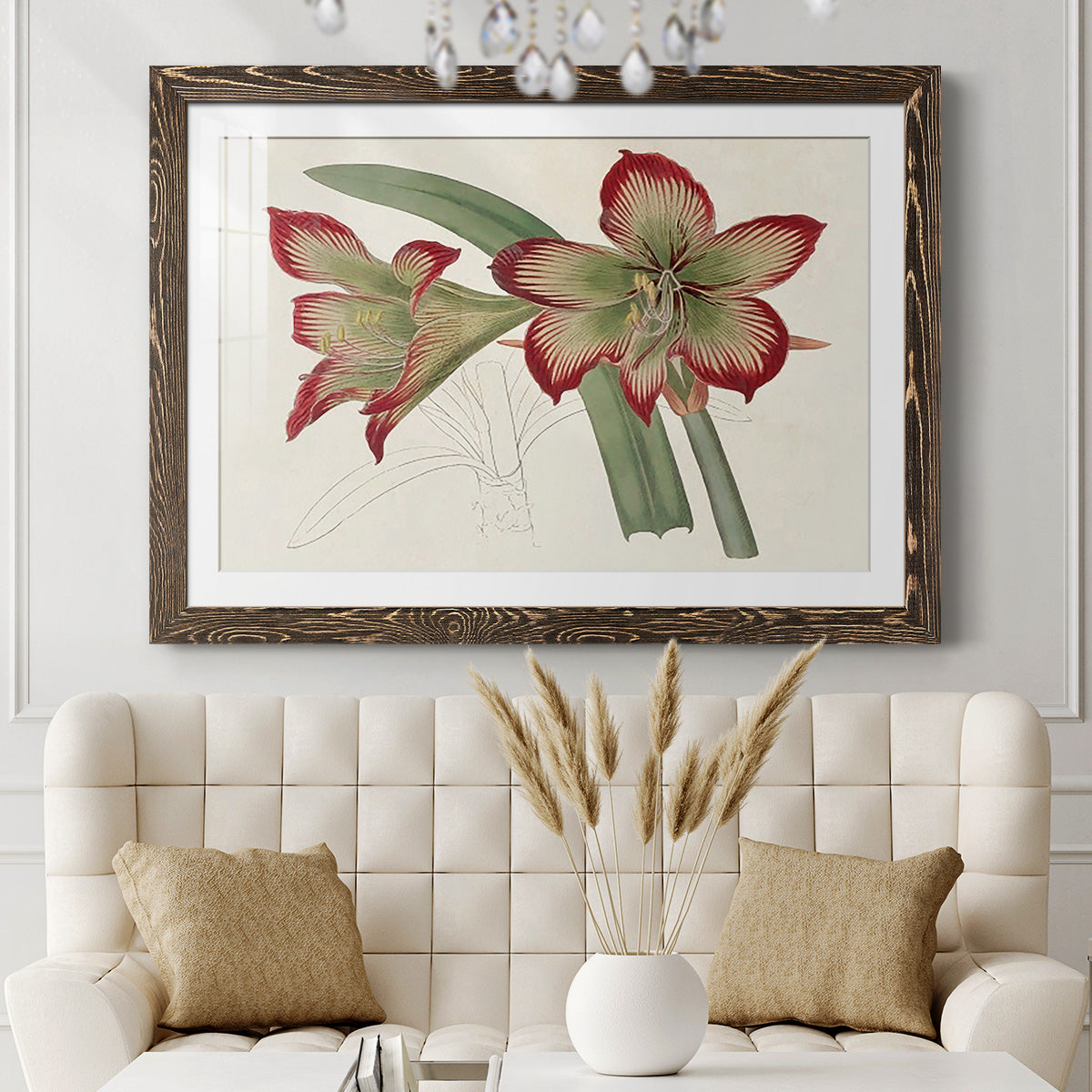 Amaryllis Varietals IV-Premium Framed Print - Ready to Hang