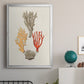 Knorr Shells & Coral IV - Modern Framed Canvas Print