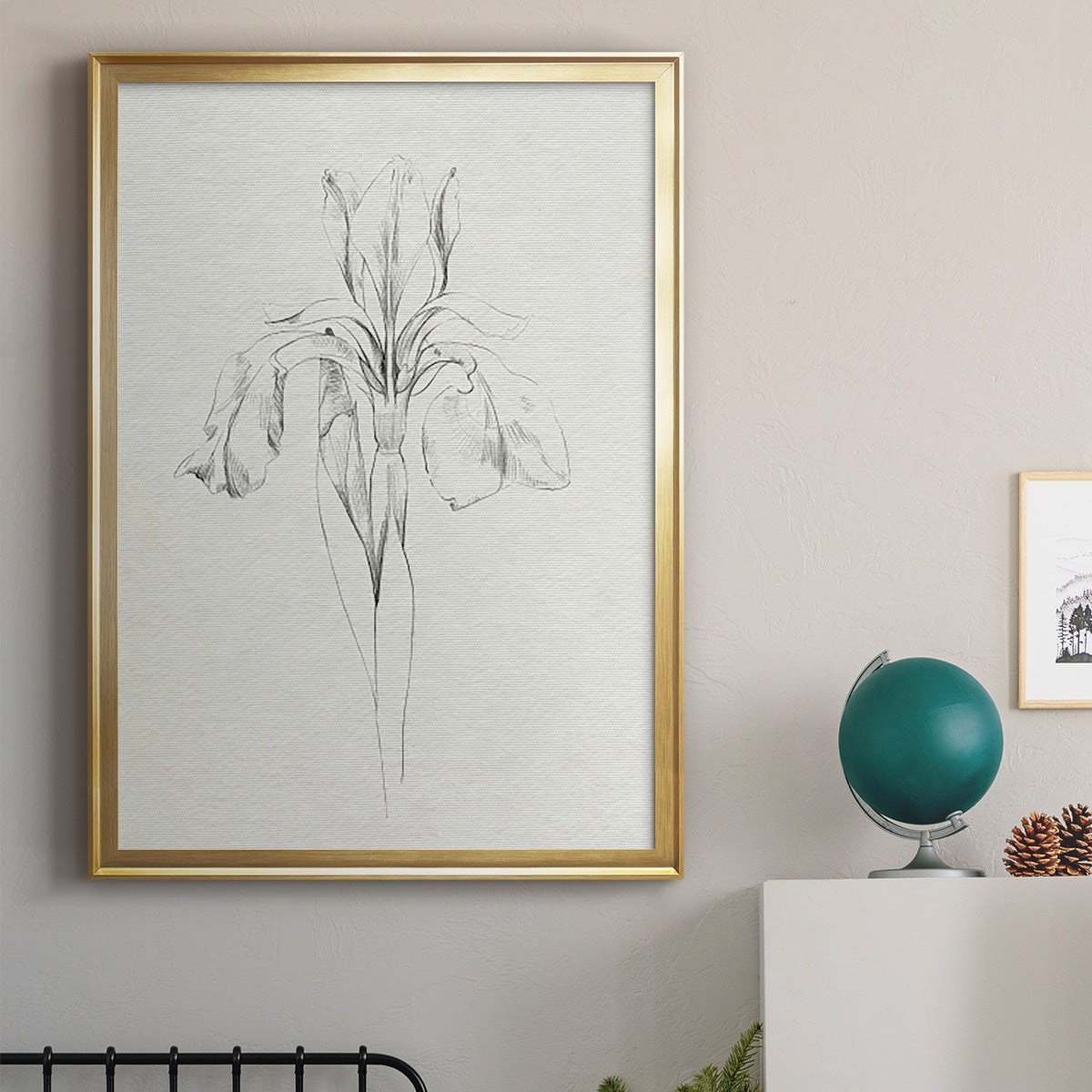 Neutral Iris Sketch I - Modern Framed Canvas Print