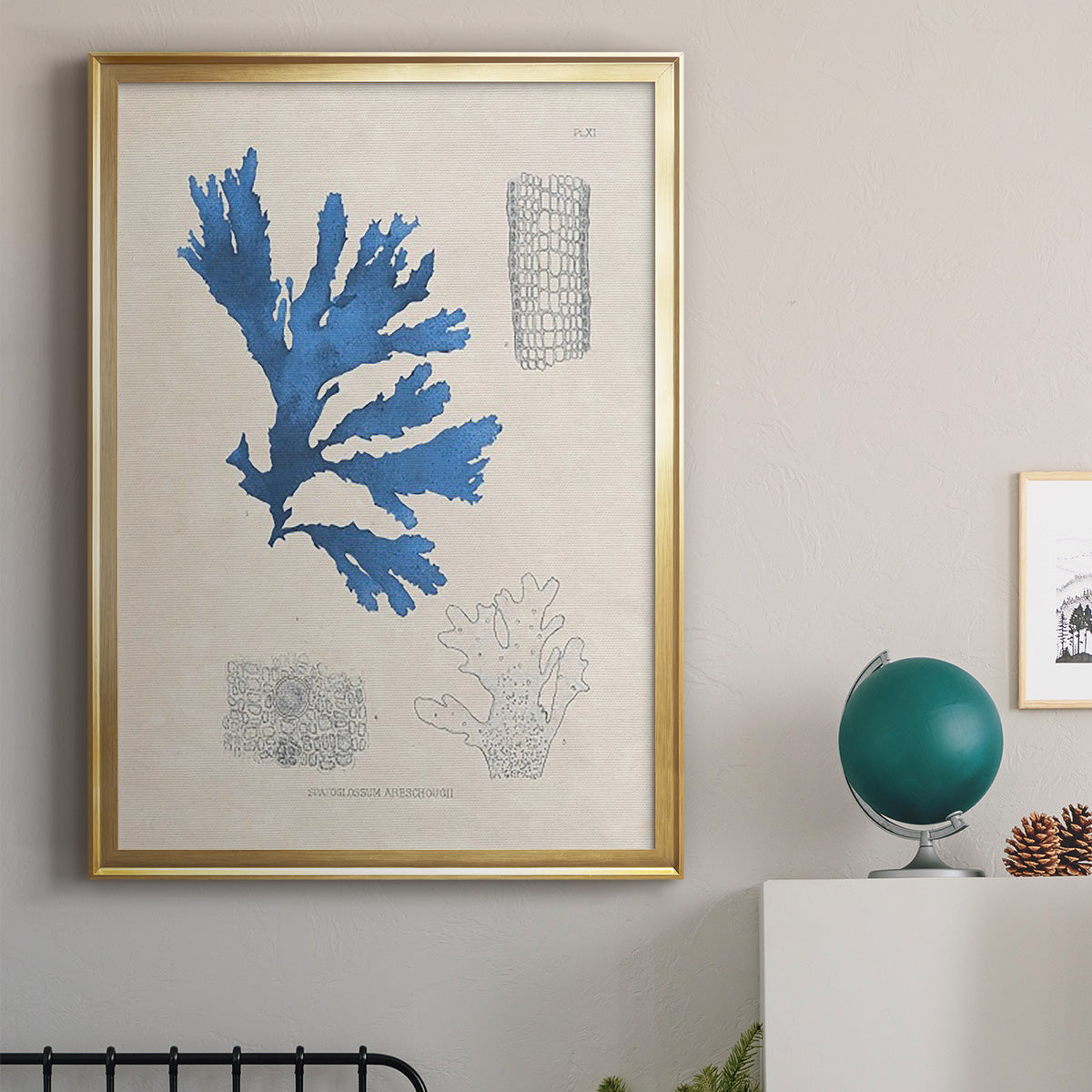 Blue Marine Algae VIII - Modern Framed Canvas Print