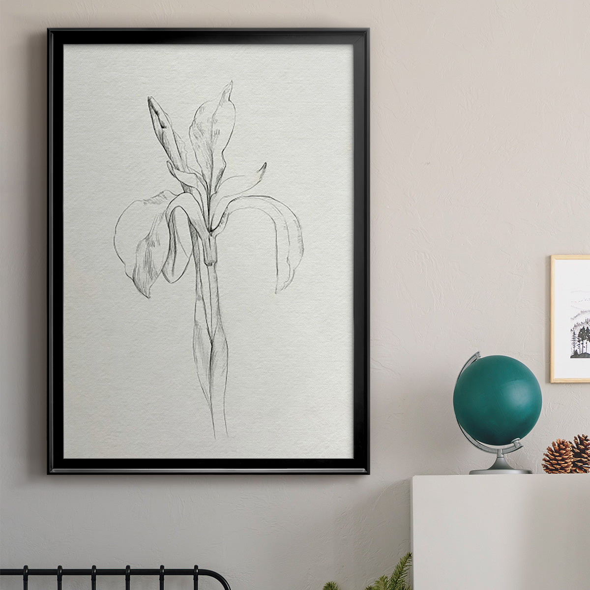 Neutral Iris Sketch II - Modern Framed Canvas Print