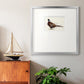 Pheasant Splash 1 Premium Framed Print Double Matboard