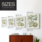 Buchoz Tropicals VIII - Restickable Framed Art Print