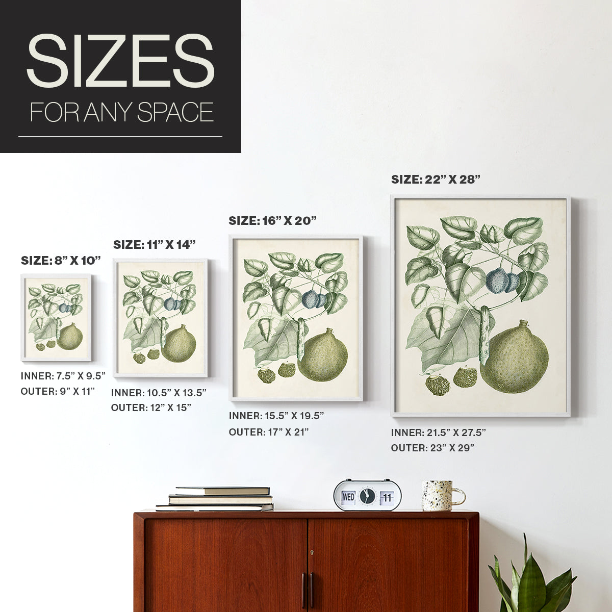 Buchoz Tropicals VIII - Restickable Framed Art Print