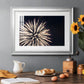 Sky Bloom - Modern Framed Art Print