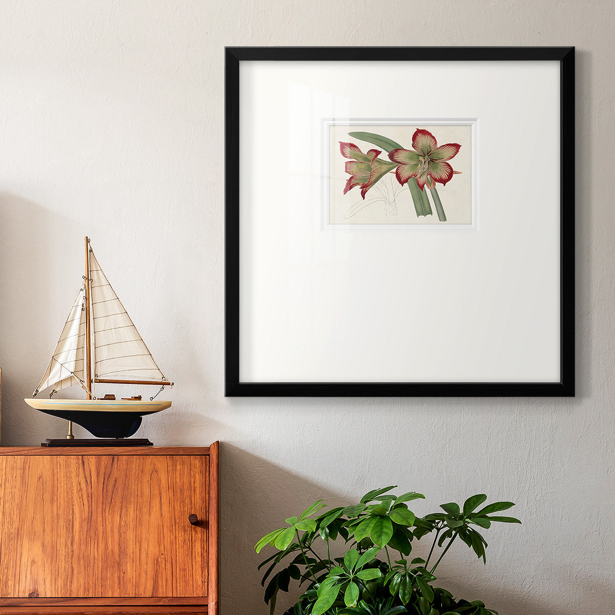 Amaryllis Varietals IV Premium Framed Print Double Matboard