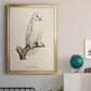 French Owls IV - Modern Framed Canvas Print