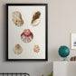 Pastel Knorr Shells V - Modern Framed Canvas Print