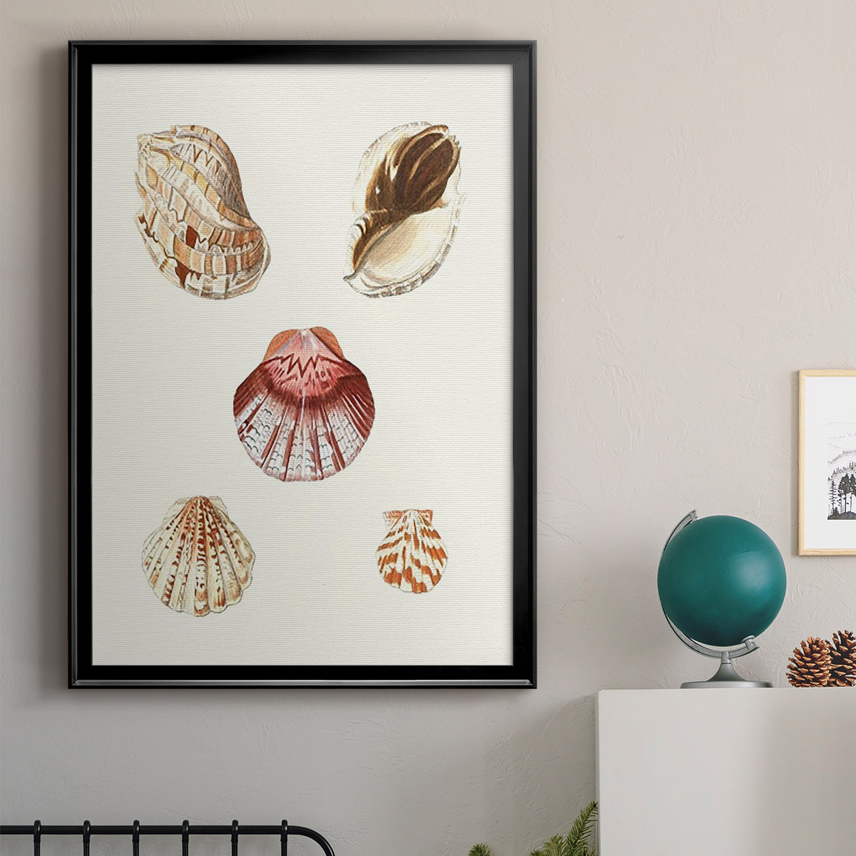 Pastel Knorr Shells V - Modern Framed Canvas Print