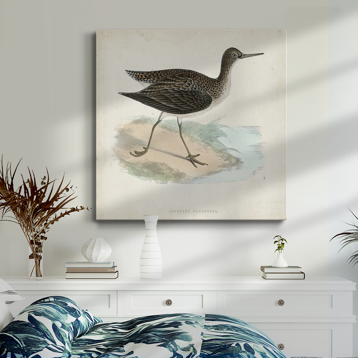 Morris Sandpipers VII - Canvas Art Print