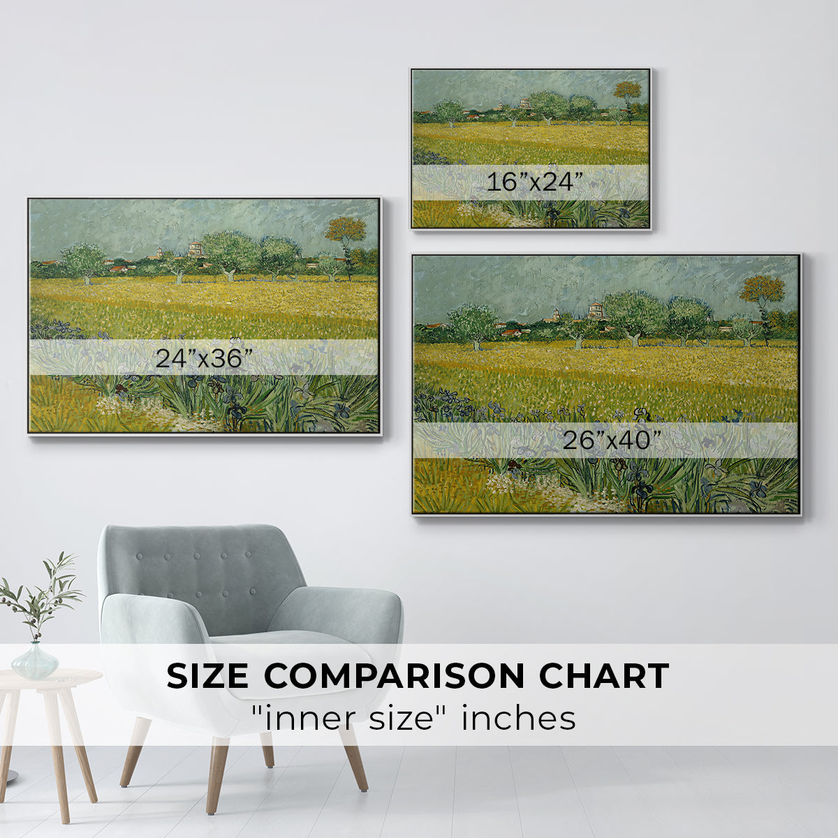 Field with Irises near Arles, 1888 - Floater Framed Canvas Print
