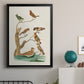 Antique Birds in Nature III - Modern Framed Canvas Print