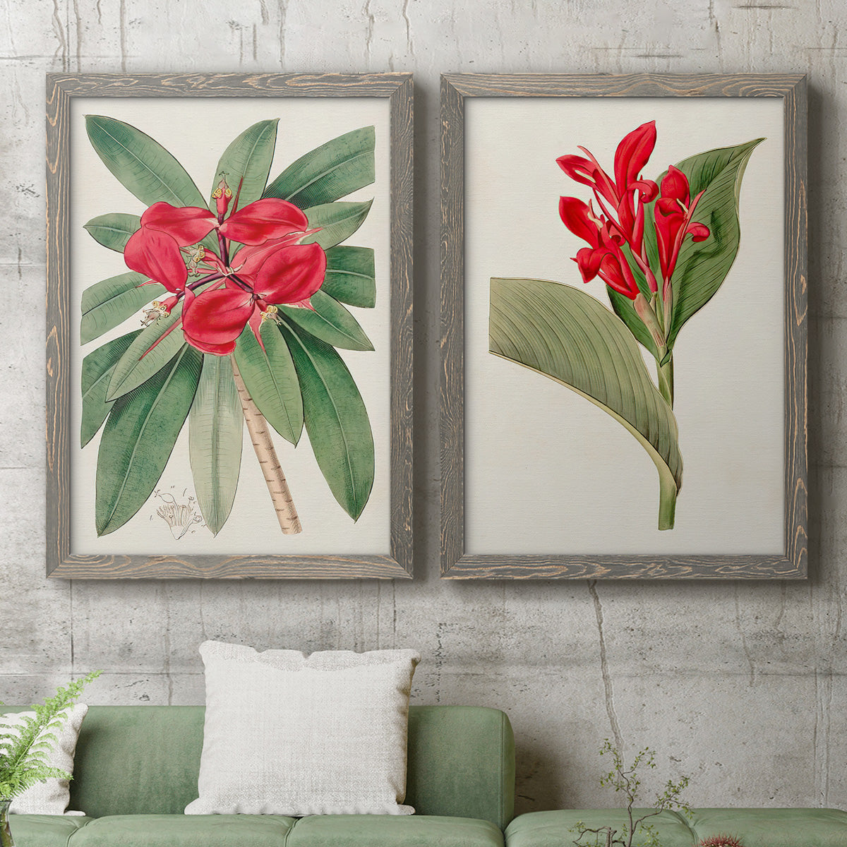 Set of two gray barnwood framed canvas prints depicting a coordinated art pair of vivid tropical flowering plants rendered as antique botanical plate illustrations above a sofa in a modern living room.