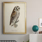 French Owls III - Modern Framed Canvas Print