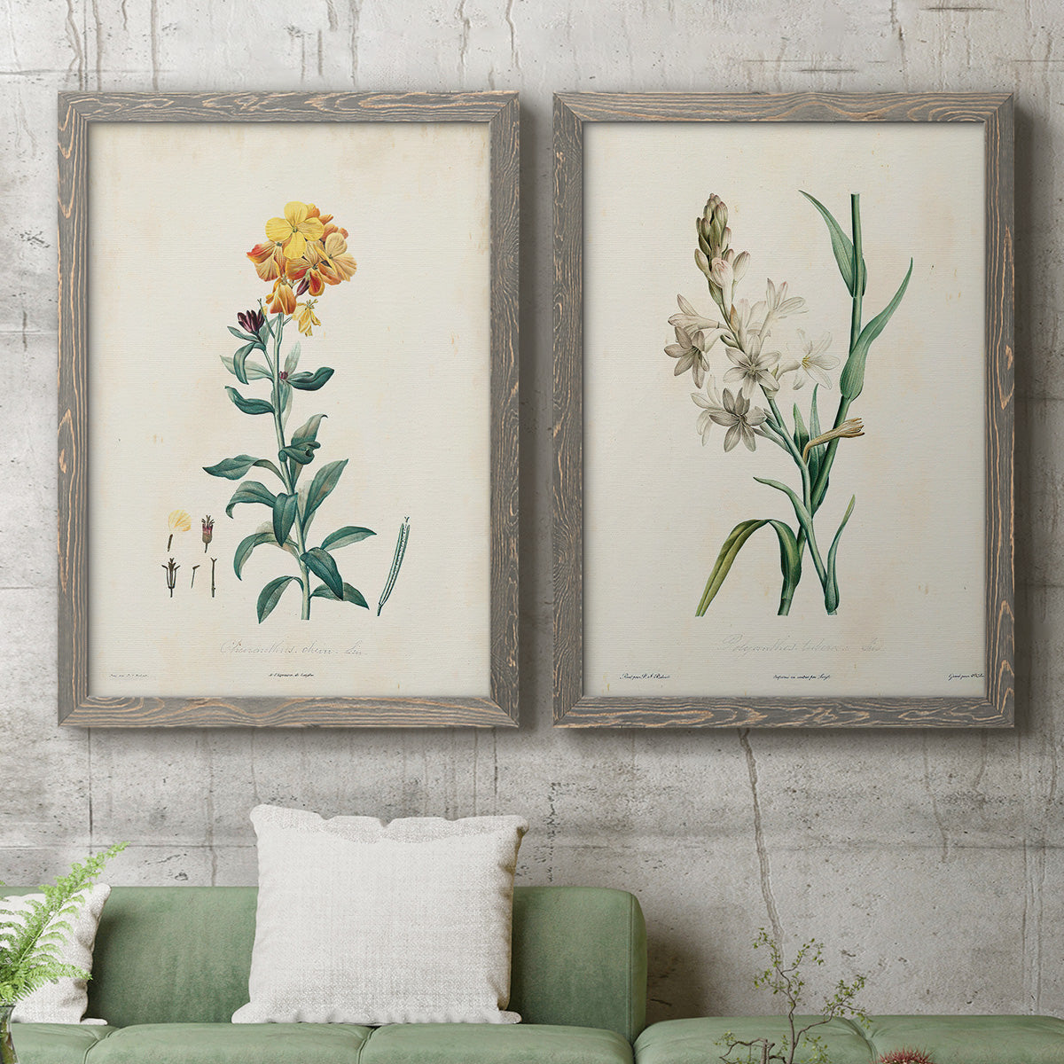 Traditional Botanical III - Premium Framed Canvas 2 Piece Set - Ready to Hang