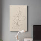 Fruit Contour Study II Premium Gallery Wrapped Canvas - Ready to Hang