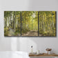 Three-panel canvas wall art featuring tree lined forest road photograph, displayed in a bathroom above a bathtub.