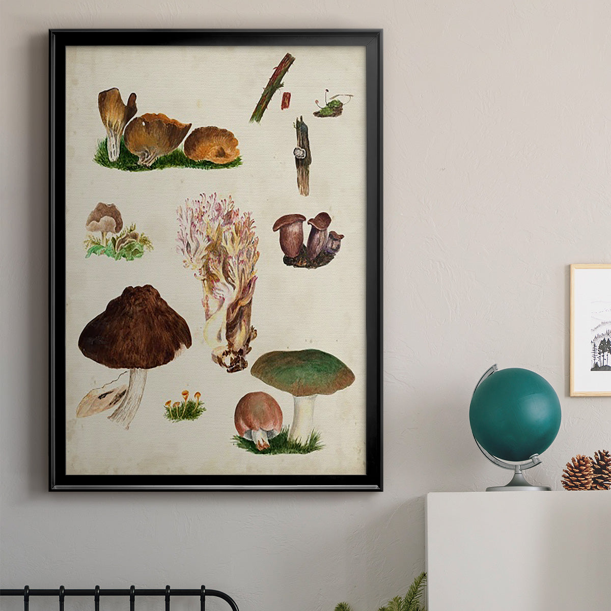 Mushroom Species IX - Modern Framed Canvas Print