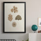 Knorr Shells & Coral VIII - Modern Framed Canvas Print