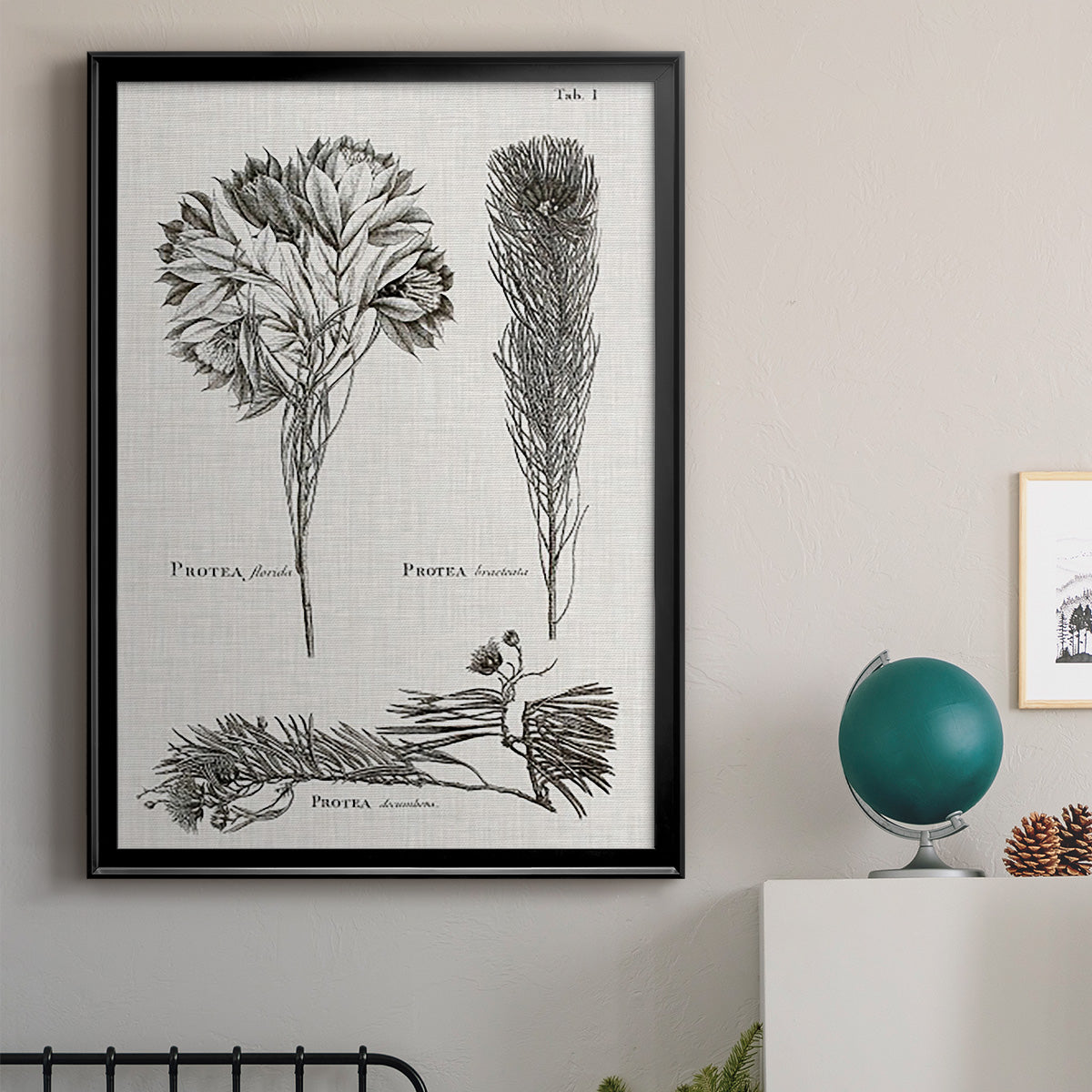 Black & White Protea on Linen I - Modern Framed Canvas Print