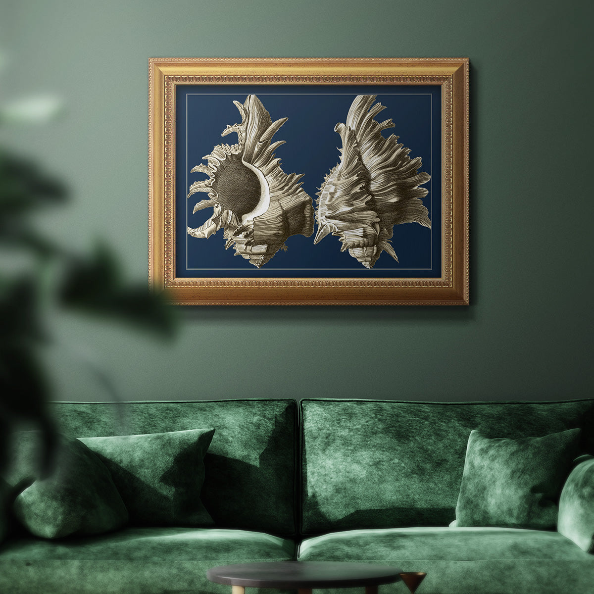 Conch Shells on Navy II Premium Framed Canvas- Ready to Hang