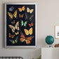 Collected Flutter III - Modern Framed Canvas Print