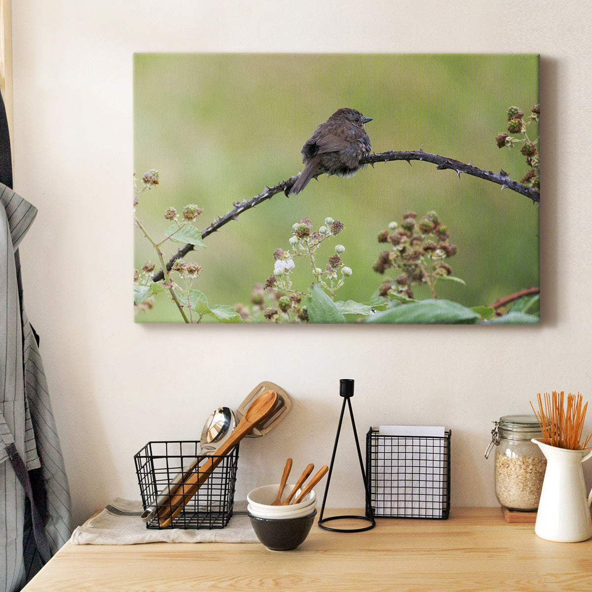 Resting Sparrow - Canvas Art Print