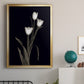 Tulip Pose I - Modern Framed Canvas Print