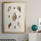 Knorr Shells & Coral IX - Modern Framed Canvas Print