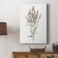 Dainty Botanical III - Canvas Art Print