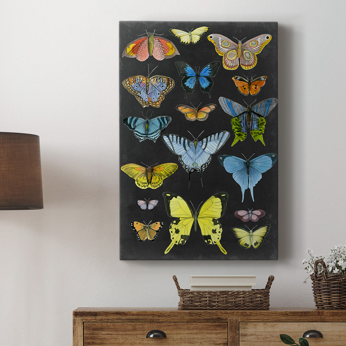 Graphic Butterfly Taxonomy II Premium Gallery Wrapped Canvas - Ready to Hang