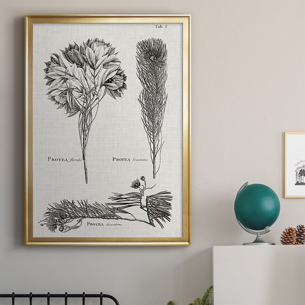 Black & White Protea on Linen I - Modern Framed Canvas Print