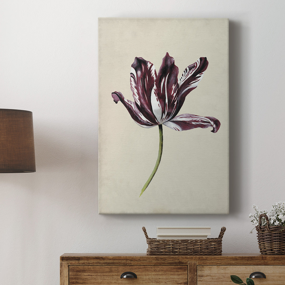 Antique Tulip Study IV Premium Gallery Wrapped Canvas - Ready to Hang