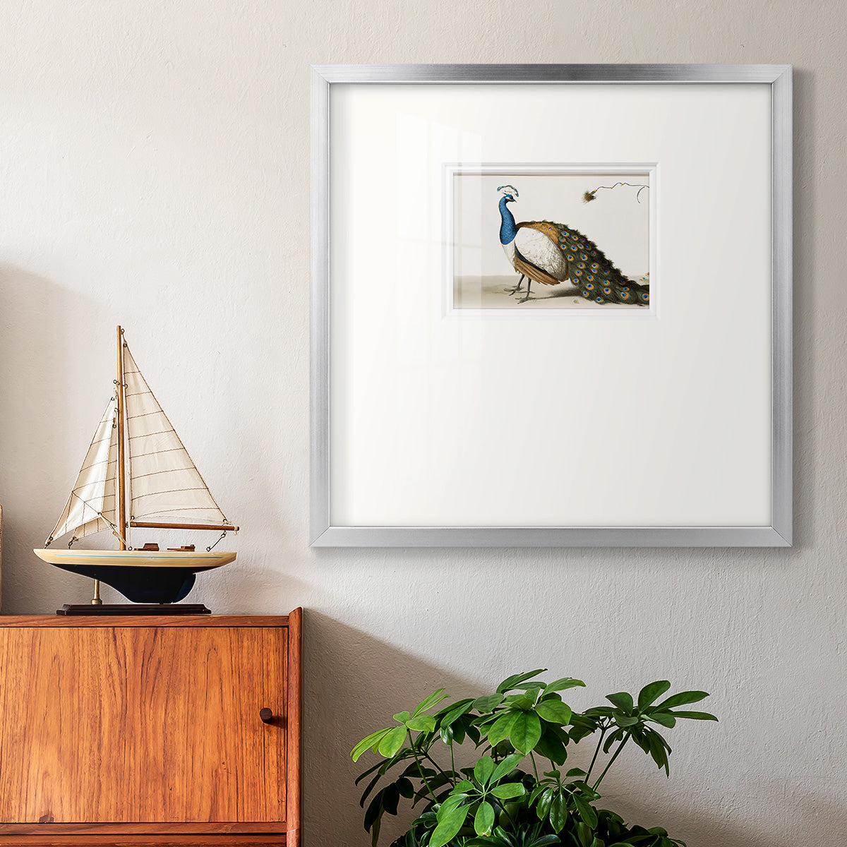 Standing Peacock Premium Framed Print Double Matboard