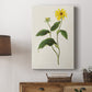 Flowers of the Seasons X - Canvas Art Print