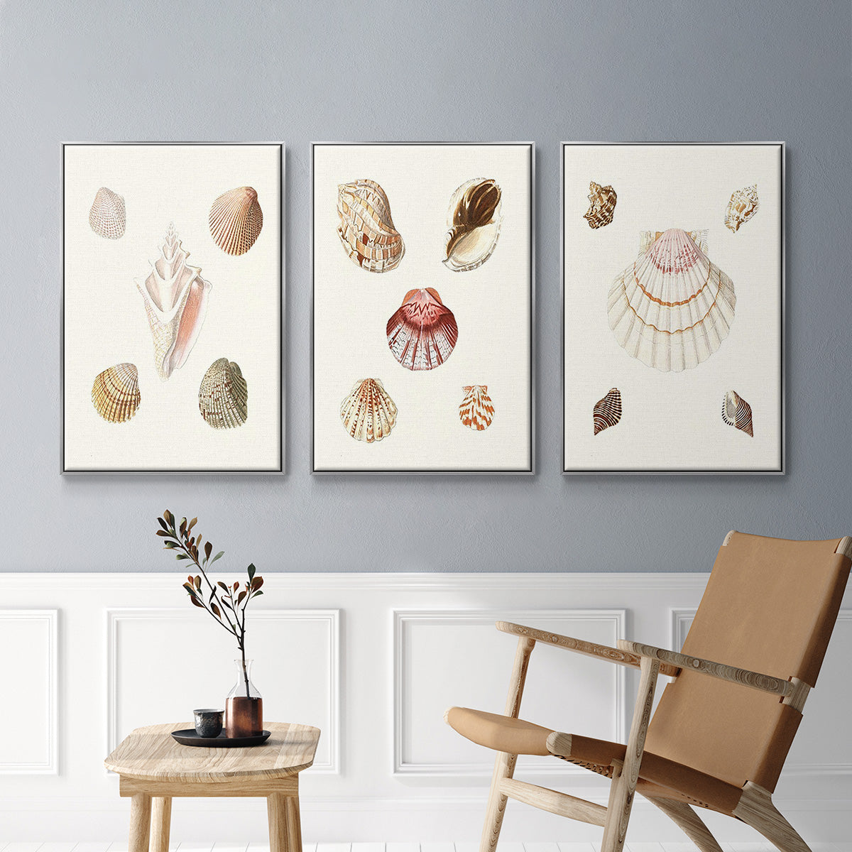 Pastel Knorr Shells I - Framed Premium Gallery Wrapped Canvas L Frame 3 Piece Set - Ready to Hang