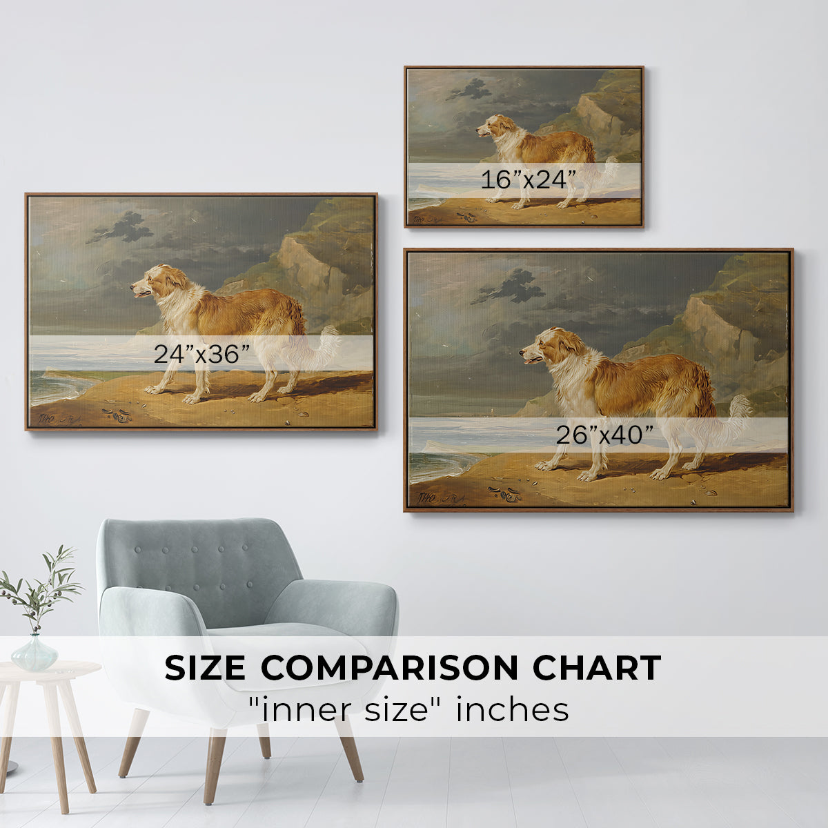 Rough-Coated Collie, 1809 - Floater Framed Canvas Print