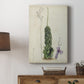 Antique Cactus IV Premium Gallery Wrapped Canvas - Ready to Hang