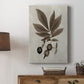 Arbor Specimen VI Premium Gallery Wrapped Canvas - Ready to Hang